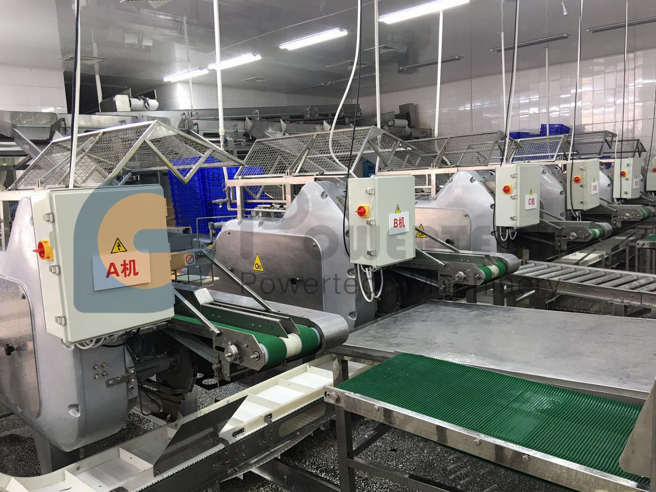 605669607802568720_副本