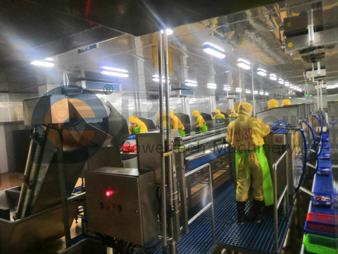 Автоматическая линия по переработке раков большой производительности