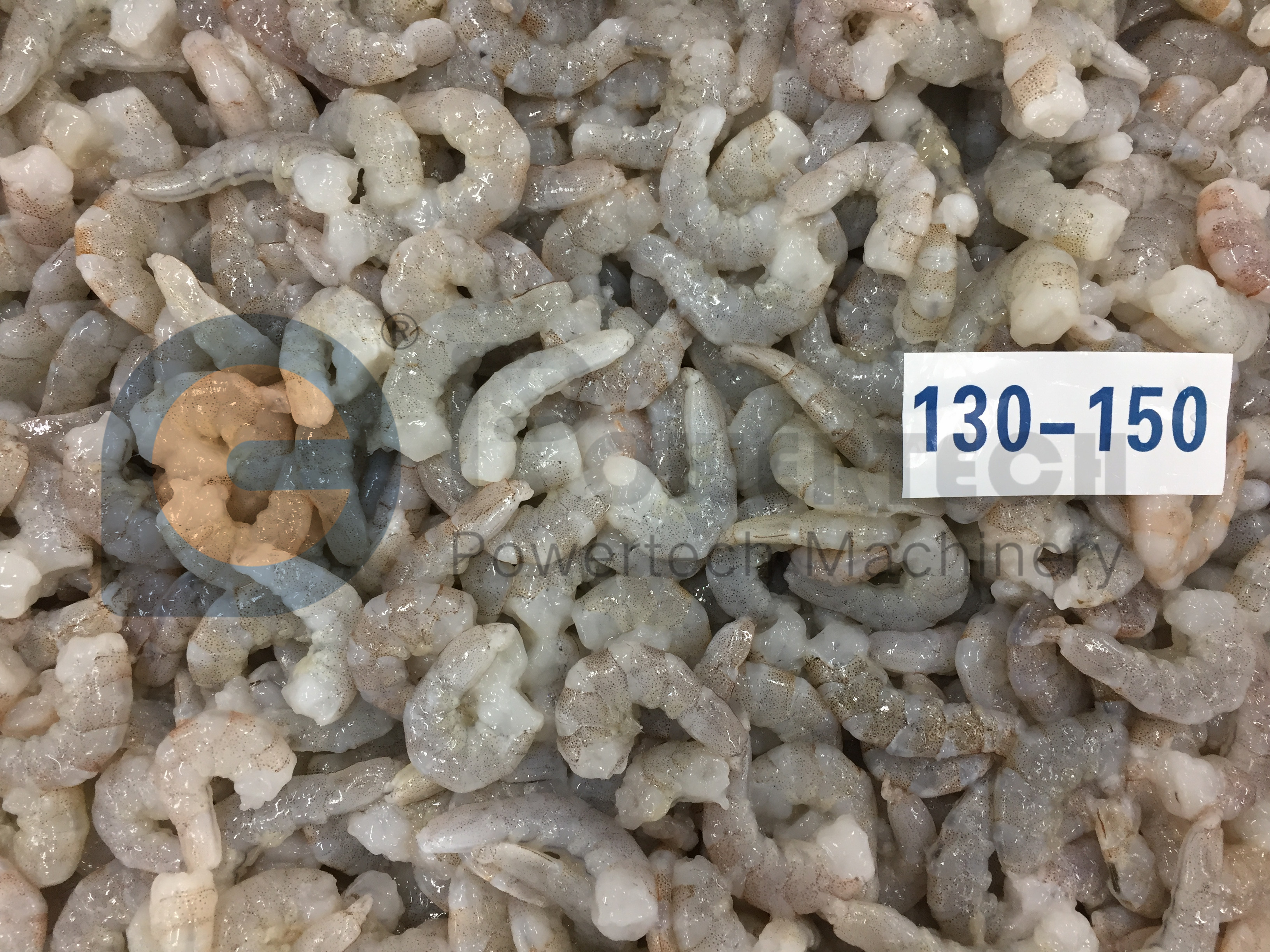 成堆虾仁 (23)_副本