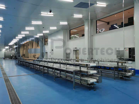 Индивидуальная автоматическая линия по переработке сома