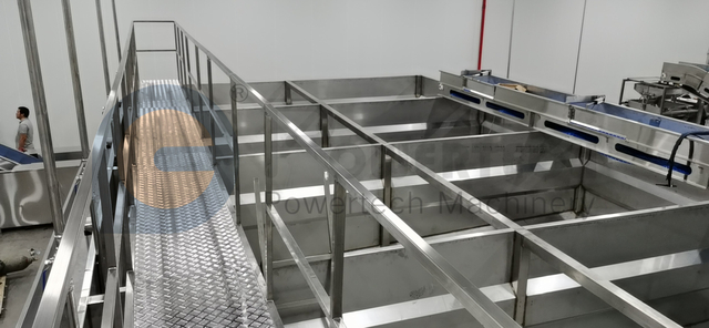 Многофункциональная стабильная линия по переработке сома