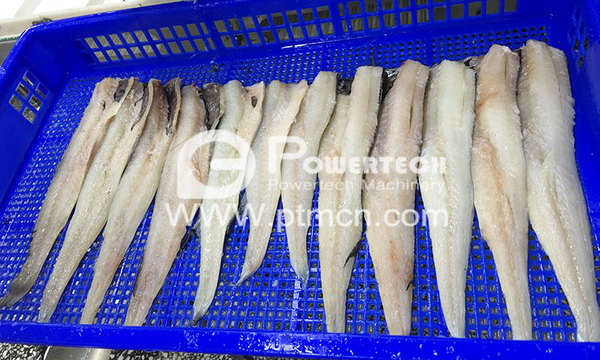 Центральная кость минтая, удаляющая автоматическую машину для филетирования рыбы