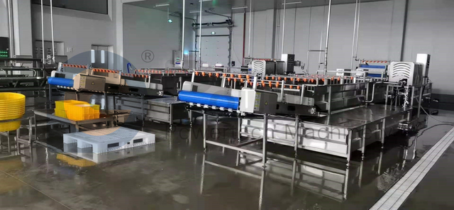 Промышленная линия по переработке сома для пищевых продуктов