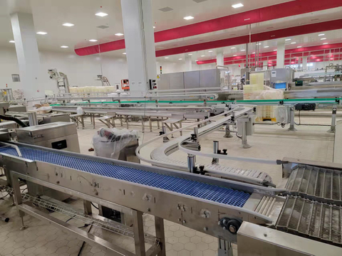 Гибкая и многофункциональная конвейерная линия для замораживания мороженого