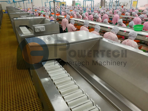 Самая низкая стоимость эксплуатации и высокорентабельная машина для очистки и девейнинга креветок