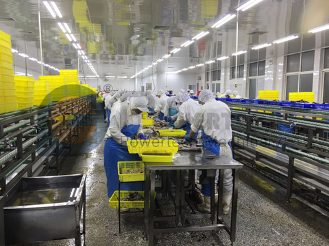 Автоматическая машина для глубокого снятия шкур с самых низких эксплуатационных расходов