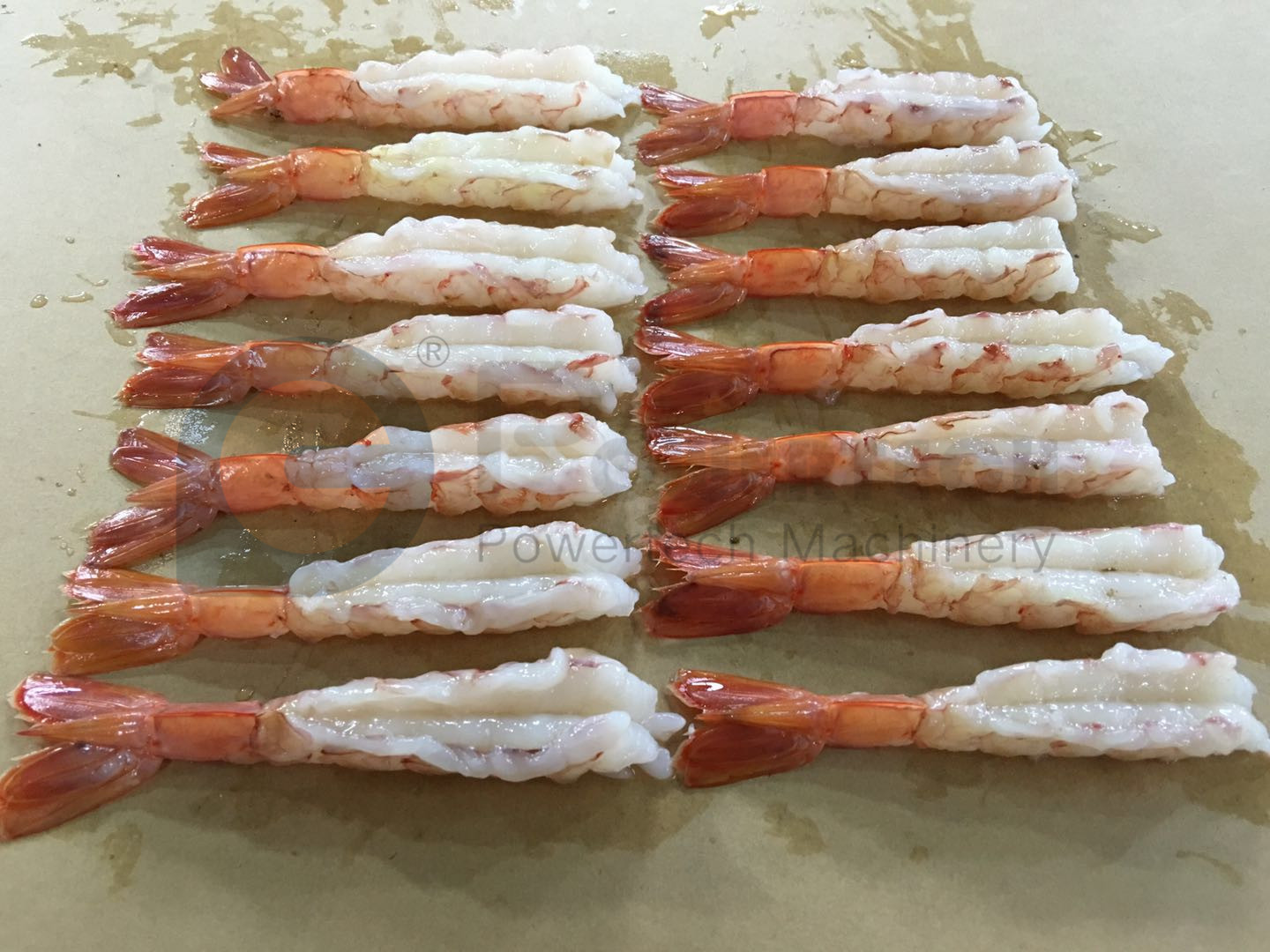 493406145649710279_副本