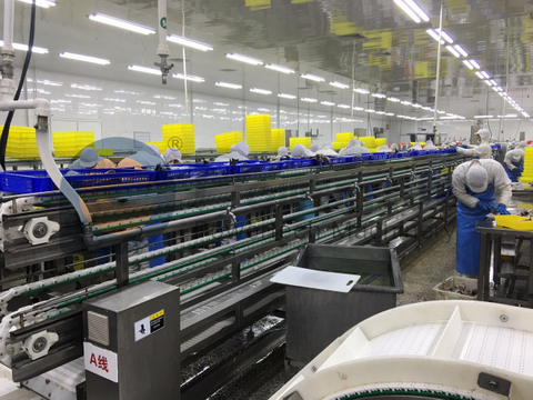 Автоматическая машина для филетирования рыбы с самыми низкими эксплуатационными расходами