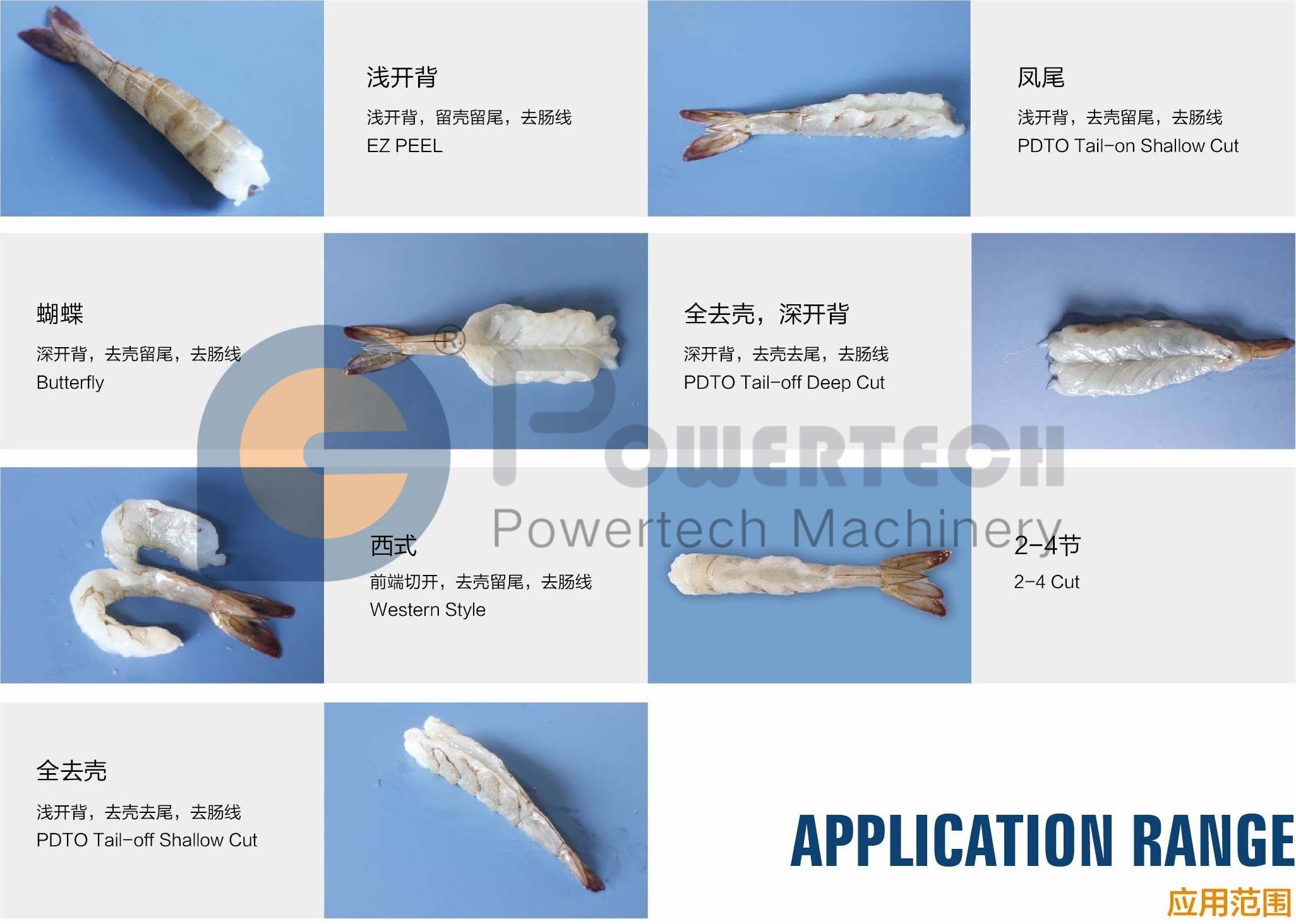 小机加工款式_副本