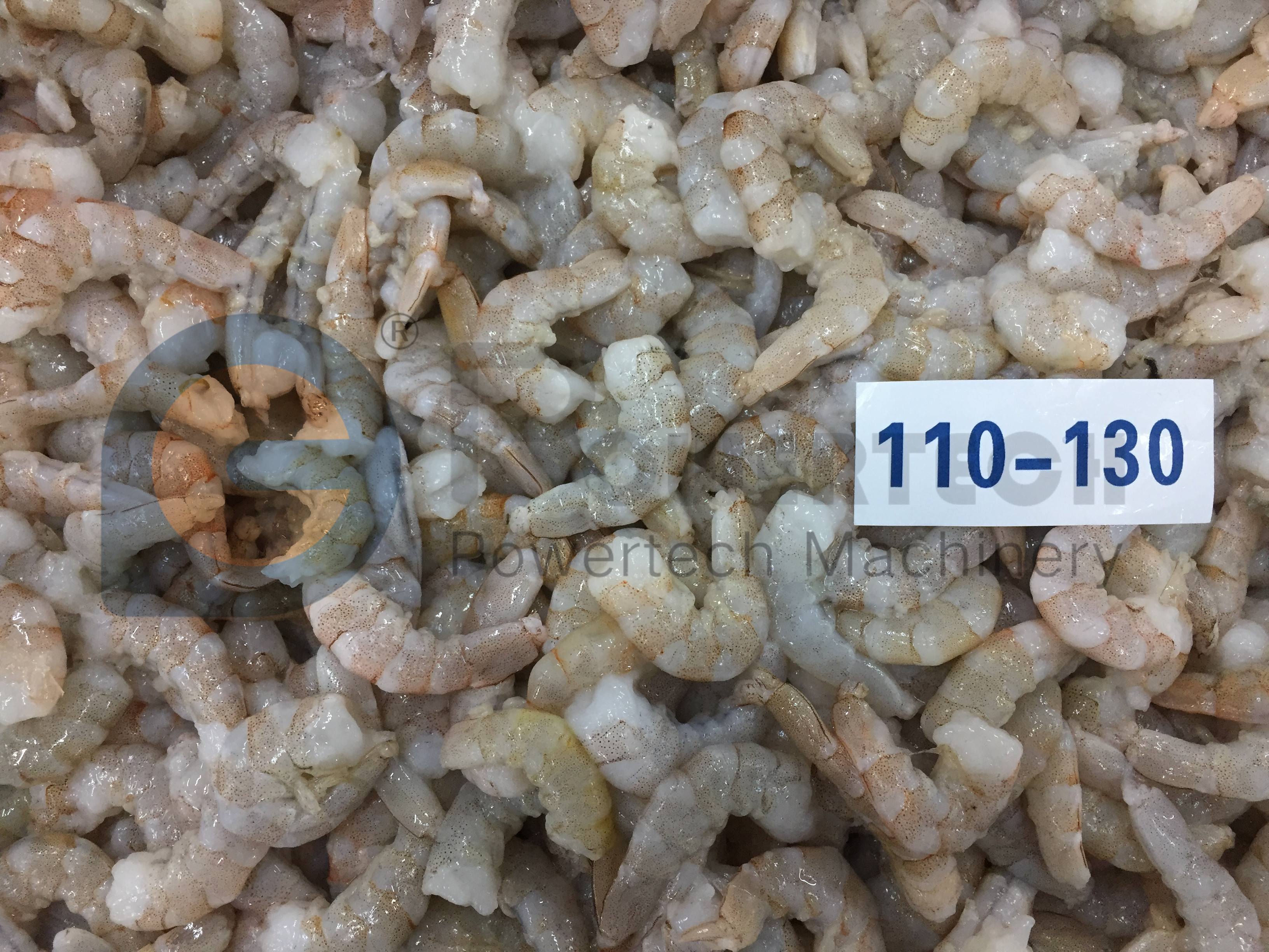 成堆虾仁 (19)_副本