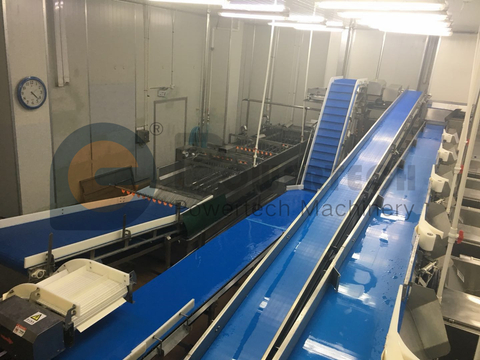 Полностью автоматическая простая в эксплуатации технологическая линия Vannmei Deveining