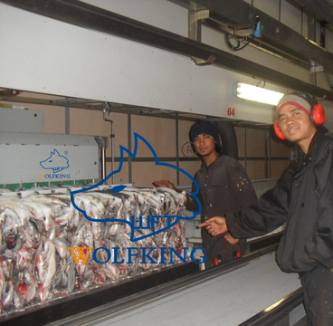 Высокоэффективный высокорентабельный морозильник с вертикальной плитой