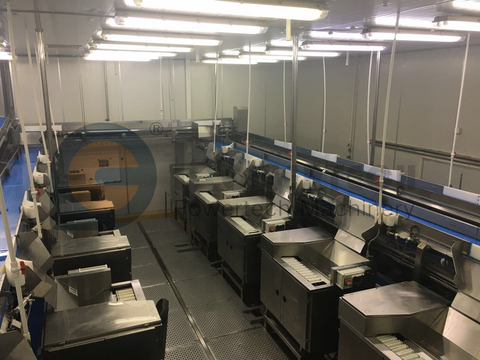 Гибкая автоматическая технологическая линия Vannamei Deveining