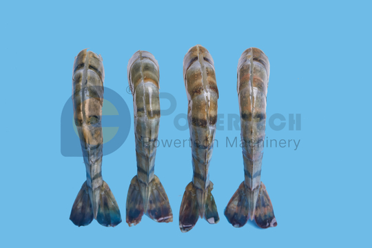 Легкий в обработке черный пилинг и девейнинг креветок ресторана креветок тигра